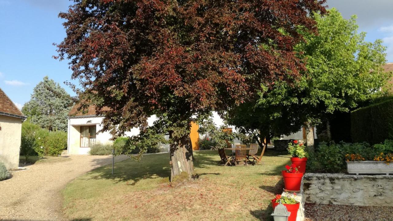 拉豪特沃赛瑞住宿加早餐旅馆 Francueil 外观 照片